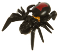 Picture of Blackarachnia