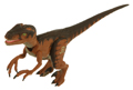 Velociraptor Image