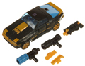 Picture of Goldbug