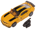 Picture of Bumblebee (87) 