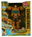 Boxed Bumblebee Image