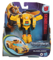 Boxed Bumblebee Image