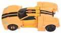 Bumblebee Image