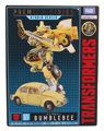 Boxed Bumblebee Image