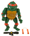 Picture of Michaelangelo