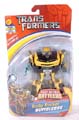 Boxed Bumblebee (Rally Rocket) Image