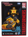 Boxed Bumblebee Image