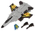 Accessory Image