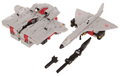 Accessory Image