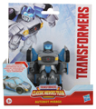 Boxed Mirage Image