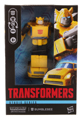 Boxed Bumblebee Image