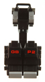 GBP2 Image