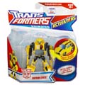 Boxed Bumblebee Image