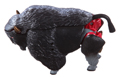 Remolded Toy