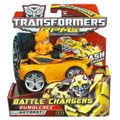 Boxed Bumblebee Image