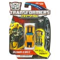 Boxed Bumblebee Image