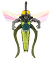 Picture of The Stinger