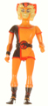 Wilykat Image