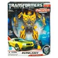 Boxed Bumblebee Image