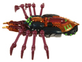 Tarantulas Image