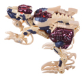 Dinobot Image