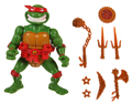 Picture of Raphael, with Storage Shell