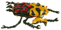 Marco/Beetle Image