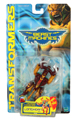 Boxed Longhorn Image
