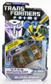 Boxed Bumblebee Image