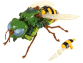 Picture of Waspinator