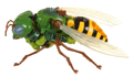 Waspinator Image