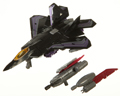 Picture of Skywarp (DD-10) 