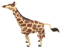 Longrack Image