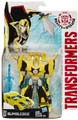 Boxed Bumblebee Image