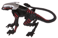 Night Cougar Alien Image