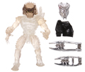 Ambush Predator Image