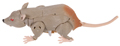 Remolded Toy
